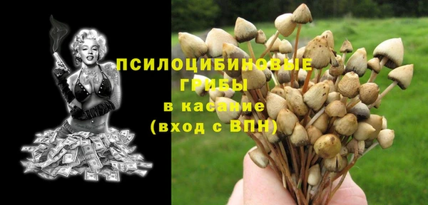 MDMA Premium VHQ Гусев