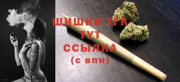 mix Гусиноозёрск