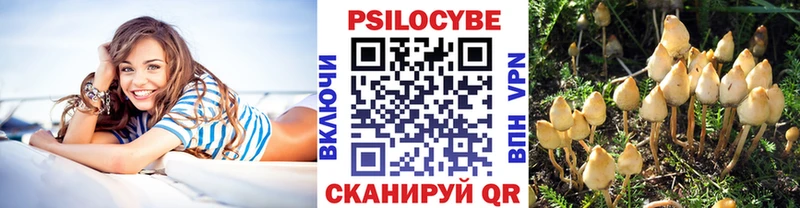 Галлюциногенные грибы Cubensis  Купить  Канаш 