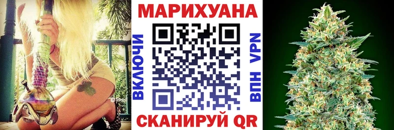 Бошки Шишки ГИДРОПОН  Купить закладки  Канаш 